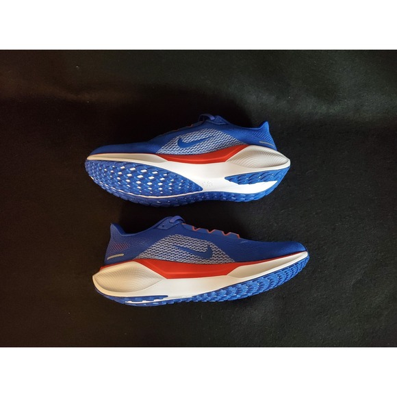 Nike Air Zoom Pegasus 41 Florida Gators Blue Orange Mens 9.5 FZ5113-400 New main image 4